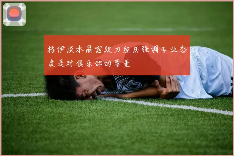 格伊谈水晶宫效力经历强调专业态度是对俱乐部的尊重
