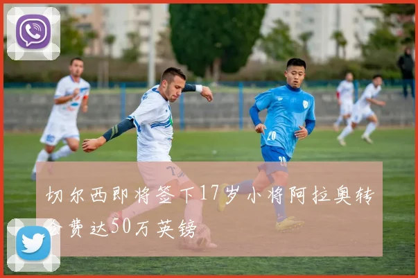 切尔西即将签下17岁小将阿拉奥转会费达50万英镑